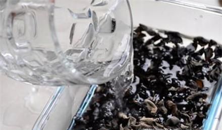 如何快速泡发木耳