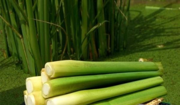 豆腐与哪些食物更为相配？又与哪些食物相克？