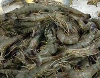 100元人民币在印度能买到些什么？