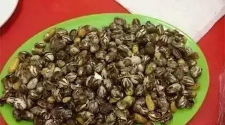 洋辣子是什么？为什么卖这么贵？