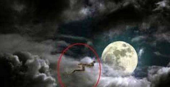 世界上真有龙出现过吗？专家表示：有龙存在的真实证据