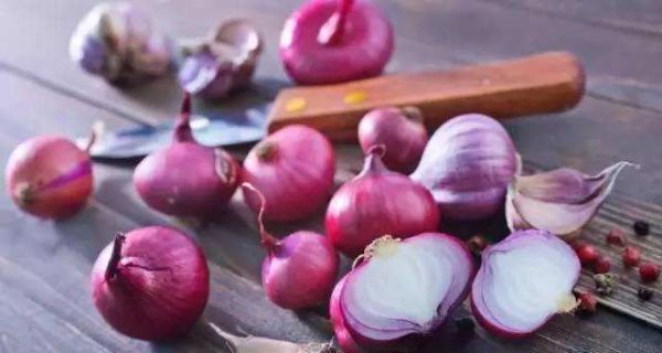 洋葱不能和什么一起吃？