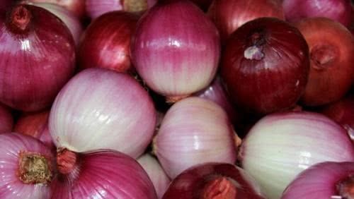 洋葱不能和什么一起吃？