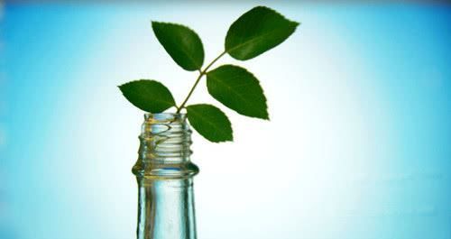 酒后乱性是真的吗？醉酒后怎样才能醒酒快