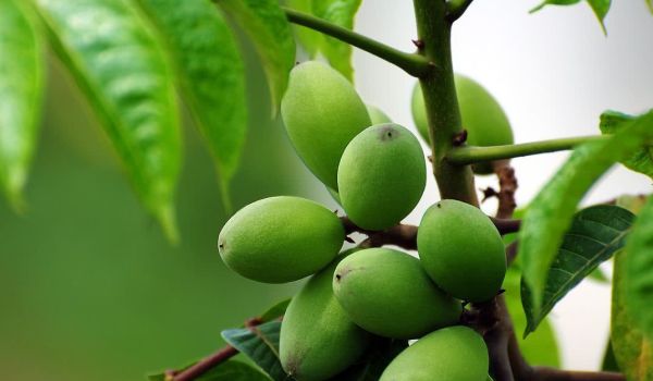 酒后乱性是真的吗？醉酒后怎样才能醒酒快