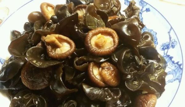 木耳不能和什么一起吃，禁忌有那些？