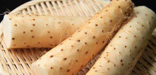 冬季吃山药有什么好处,男能强肾补虚,女能养胃润肺吗?