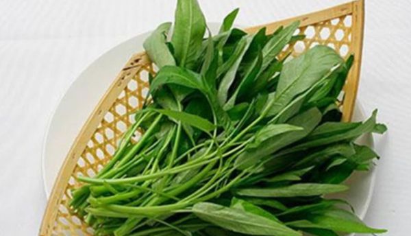 坚持每天只吃蔬菜，身体会发生什么变化？