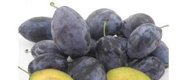 西梅的功效与作用有哪些