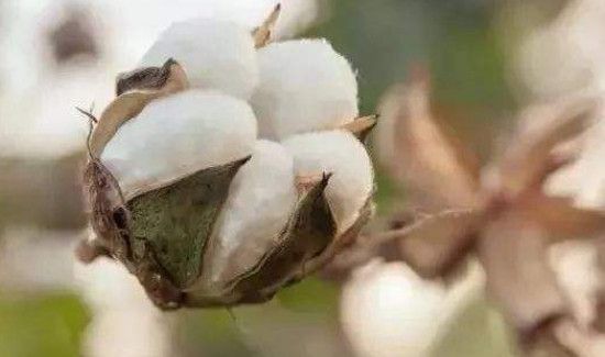 冬天怎么防止静电