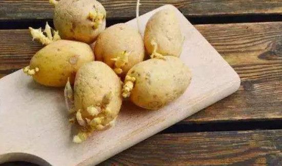 春天怎么防止土豆发芽