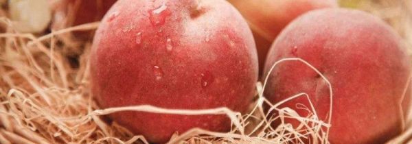 桃子里面的胶状物能吃吗