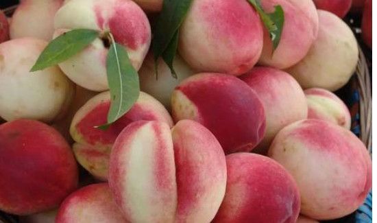 桃子里面的胶状物能吃吗