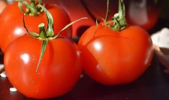 羊肉可以和西红柿一起吃吗