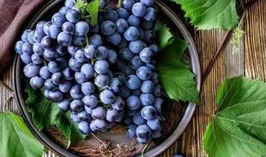 葡萄和豆浆能一块儿吃吗