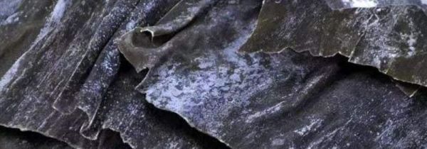 发霉的海带洗干净还能吃吗