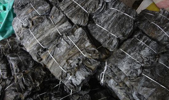 发霉的海带洗干净还能吃吗