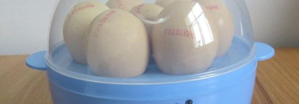 煮蛋器怎么放水