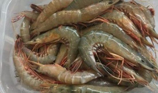 冷冻虾发红了还能吃吗
