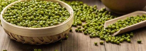 绿豆和赤小豆能一起煮吗