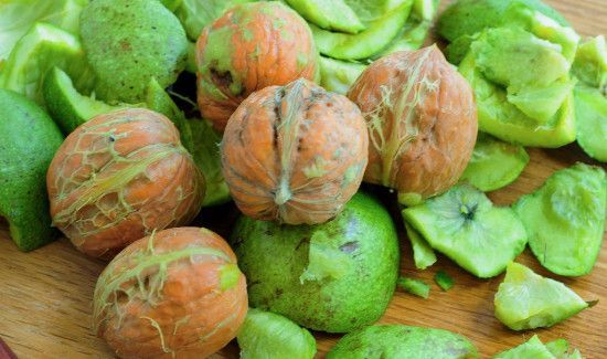 核桃绿皮怎么快速去掉