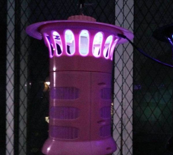 灭蚊灯有用吗？