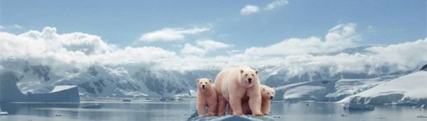 温室效应产生的原因是什么?