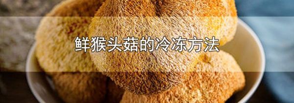 鲜猴头菇的冷冻方法