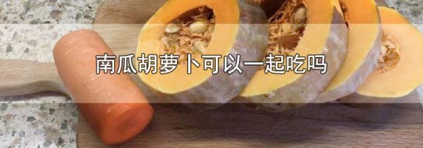 南瓜胡萝卜可以一起吃吗