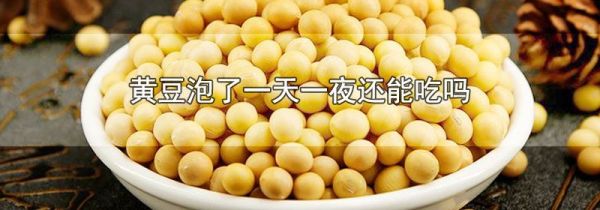 黄豆泡了一天一夜还能吃吗