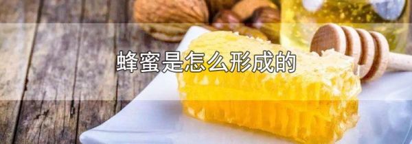 蜂蜜是怎么形成的