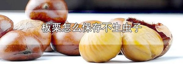 板栗怎么保存不生虫子