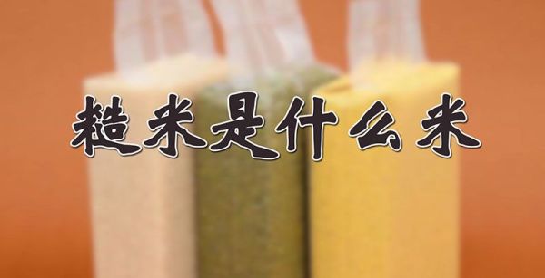 糙米是什么米