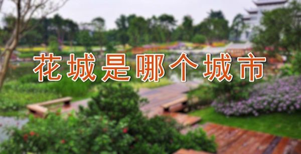 花城是哪个城市