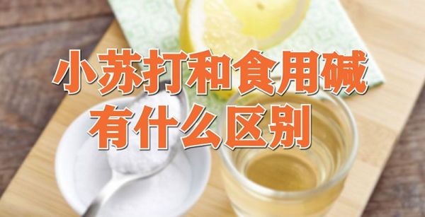 小苏打和食用碱有什么区别