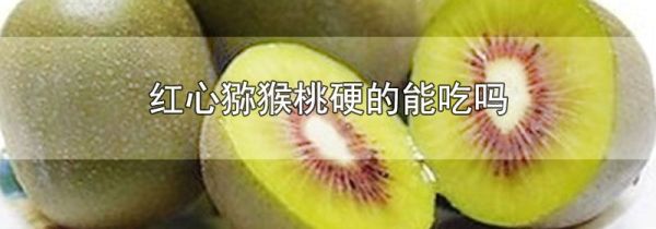 红心猕猴桃硬的能吃吗