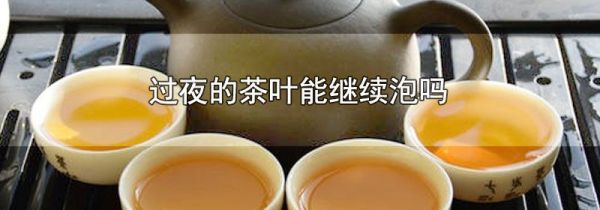过夜的茶叶能继续泡吗