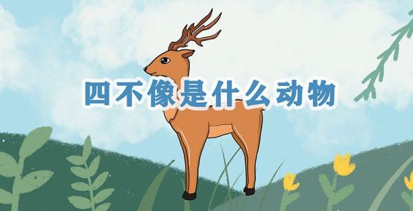 四不像是什么动物