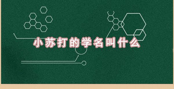 小苏打的学名叫什么
