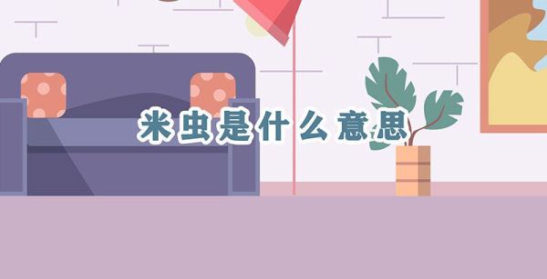 米虫是什么意思