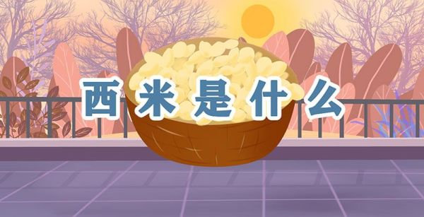 西米是什么