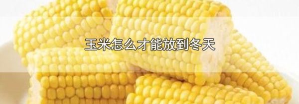玉米怎么才能放到冬天