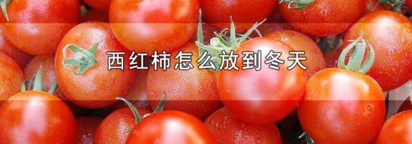 西红柿怎么放到冬天