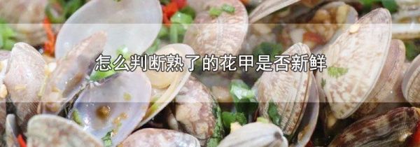 怎么判断熟了的花甲是否新鲜