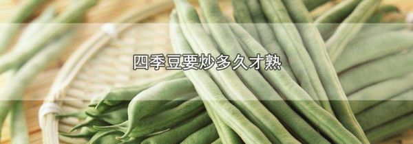 四季豆要炒多久才熟