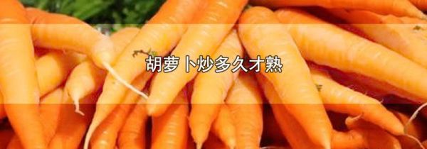 胡萝卜炒多久才熟