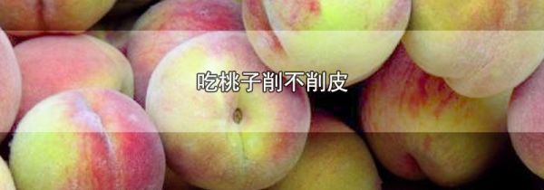 吃桃子削不削皮
