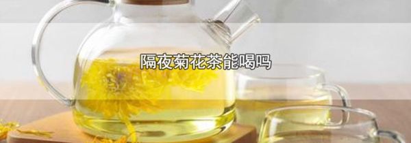 隔夜菊花茶能喝吗