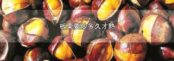 板栗要炒多久才熟