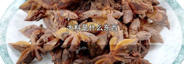 大料是什么东西